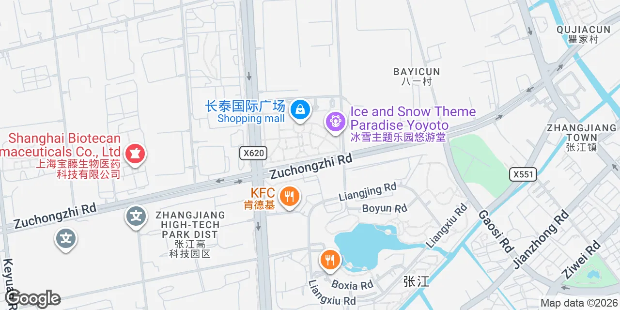 3 Jinke Road,6/F, Office Tower C, Chamtime Plaza Lane 2889,Pudong New Area, Shanghai, Pudong 201203