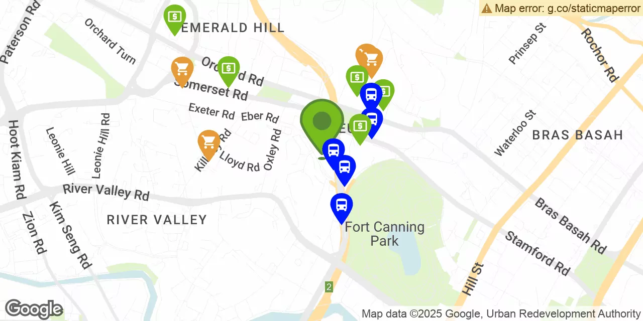 71 Oxley Rise #02-17, River Valley 238698