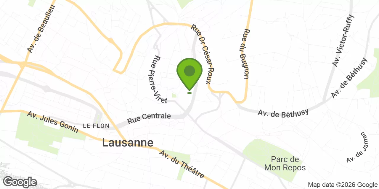 Rue Saint-Martin 7,3. Stock, 1003 Lausanne