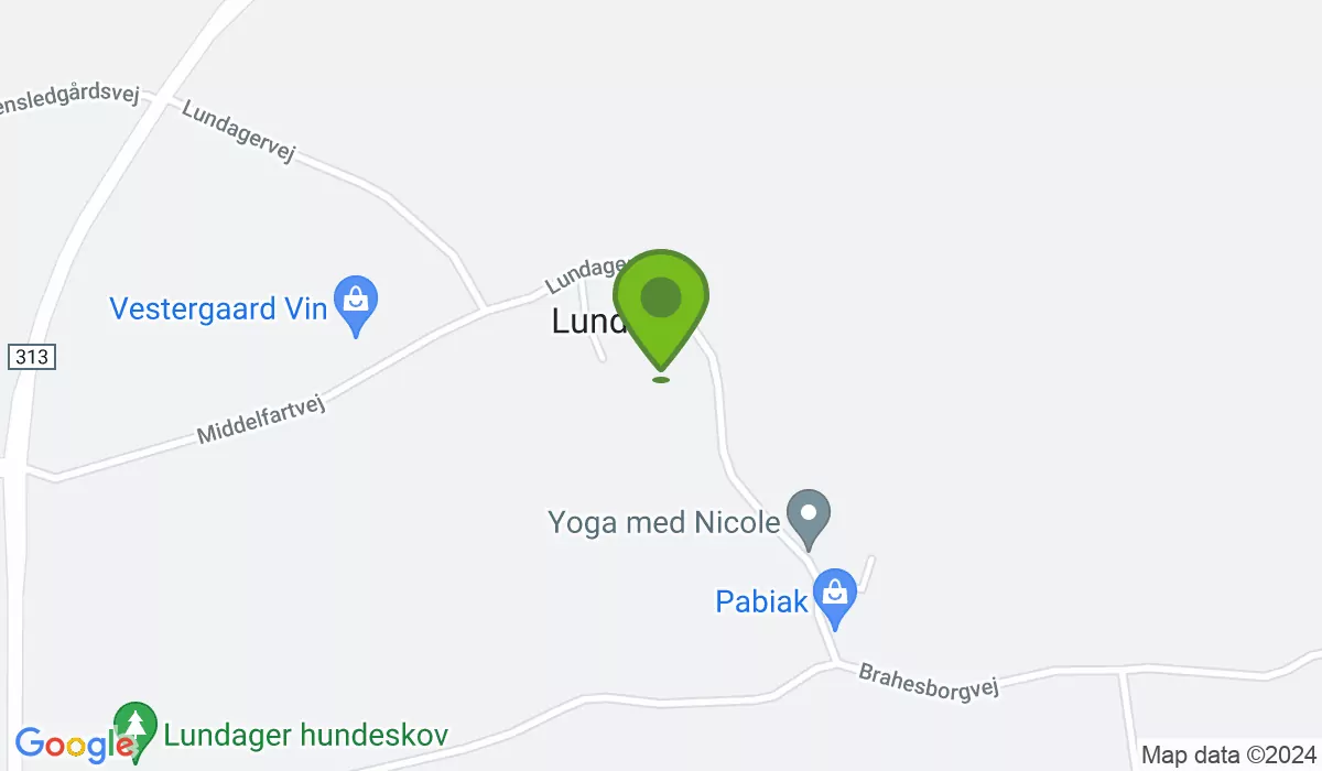 Lundagervej 28, 5610 Assens