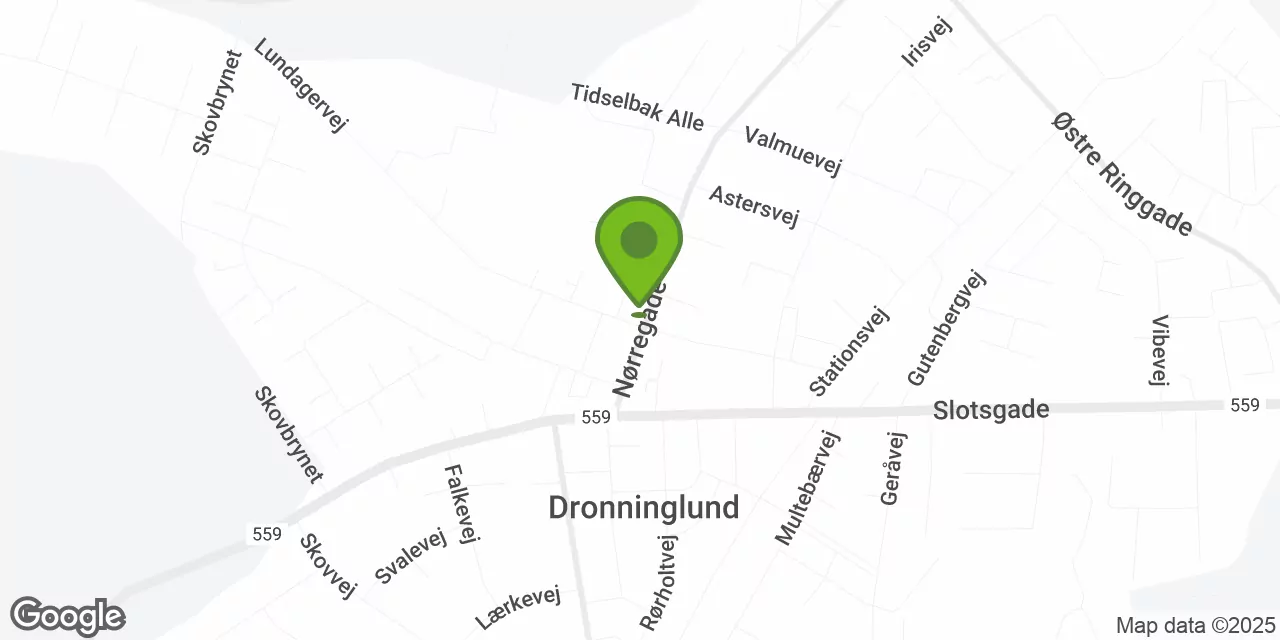 Nørregade 11, 9330 Dronninglund