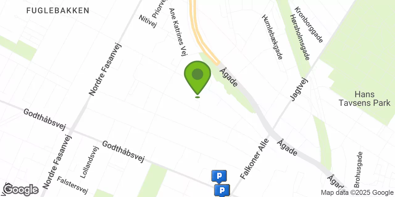 Dronning Olgas Vej 20B, 2000 Frederiksberg