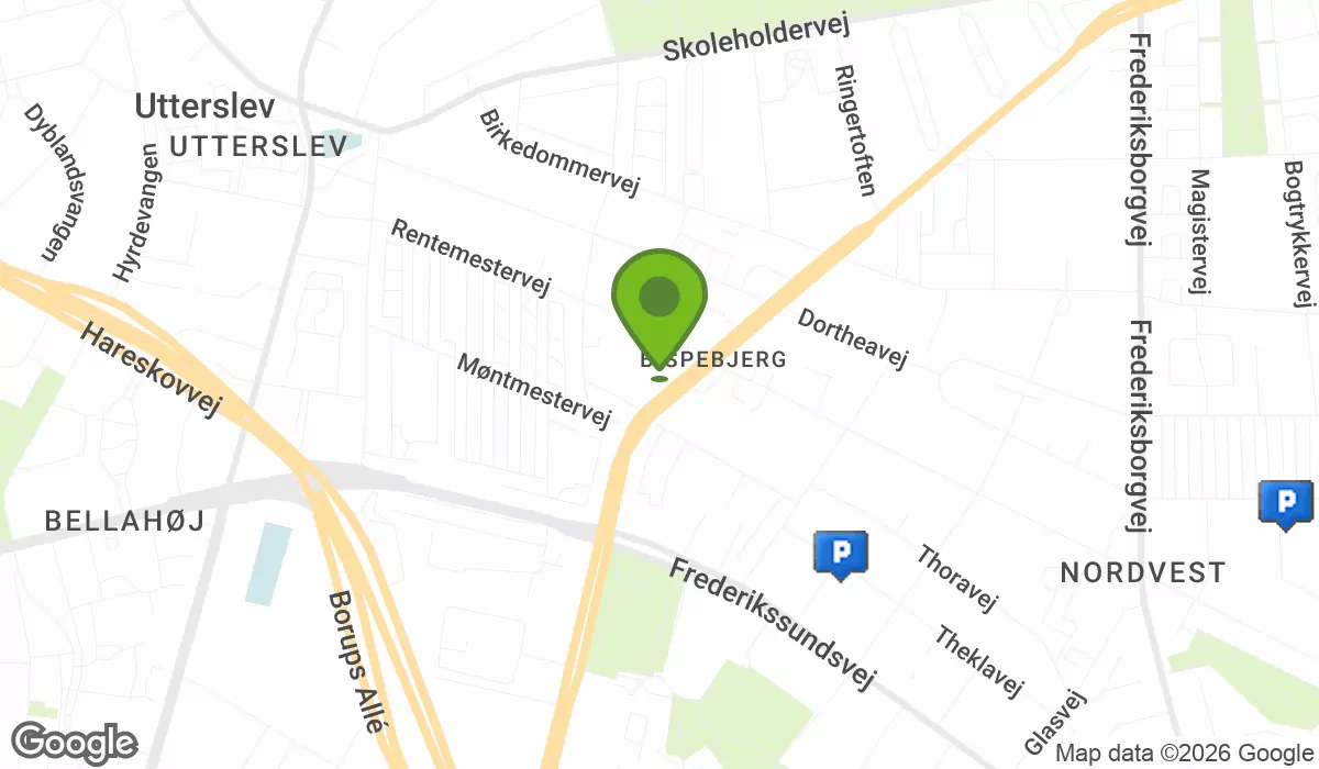 Tomsgårdsvej 17, 2400 Copenhagen NV