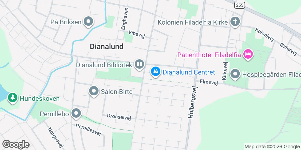 Torvet 1, 4293 Dianalund