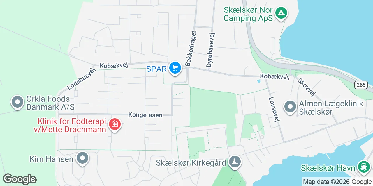 Konge-Åsen 1, 4230 Skælskør