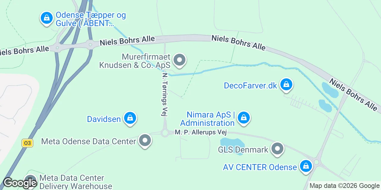 N. Tørrings Vej 10, 5220 Odense SØ