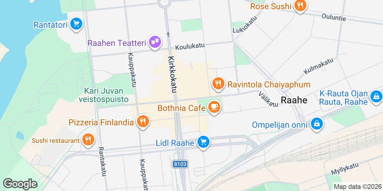 Sovionkatu 12, 92100 Raahe