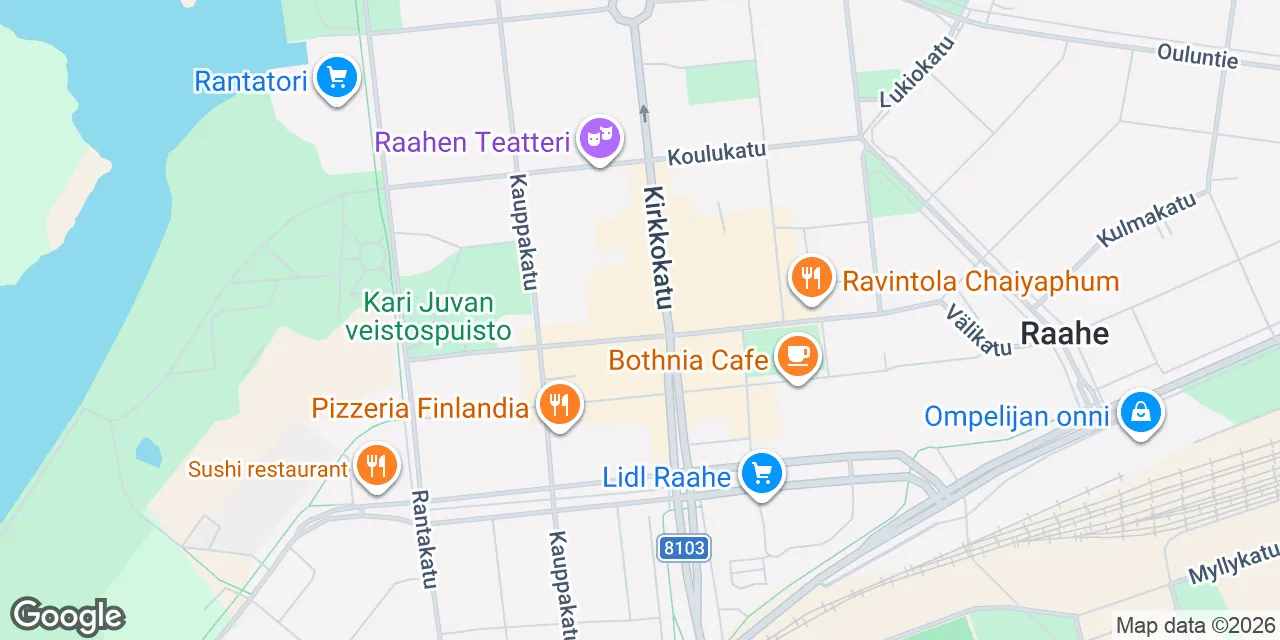 Sovionkatu 10, 92100 Raahe