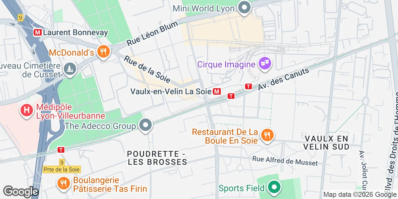 1 Esplanade Miriam Makeba, 69100 Villeurbanne