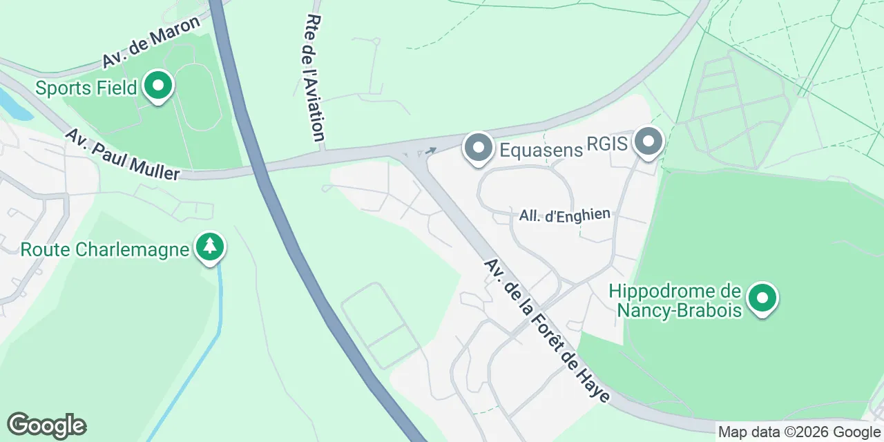 19 avenue de la forêt de Haye, 54500 Nancy