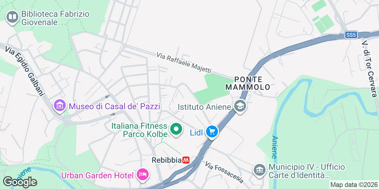 Via Stanislao Cannizzaro, 00156 Municipio II