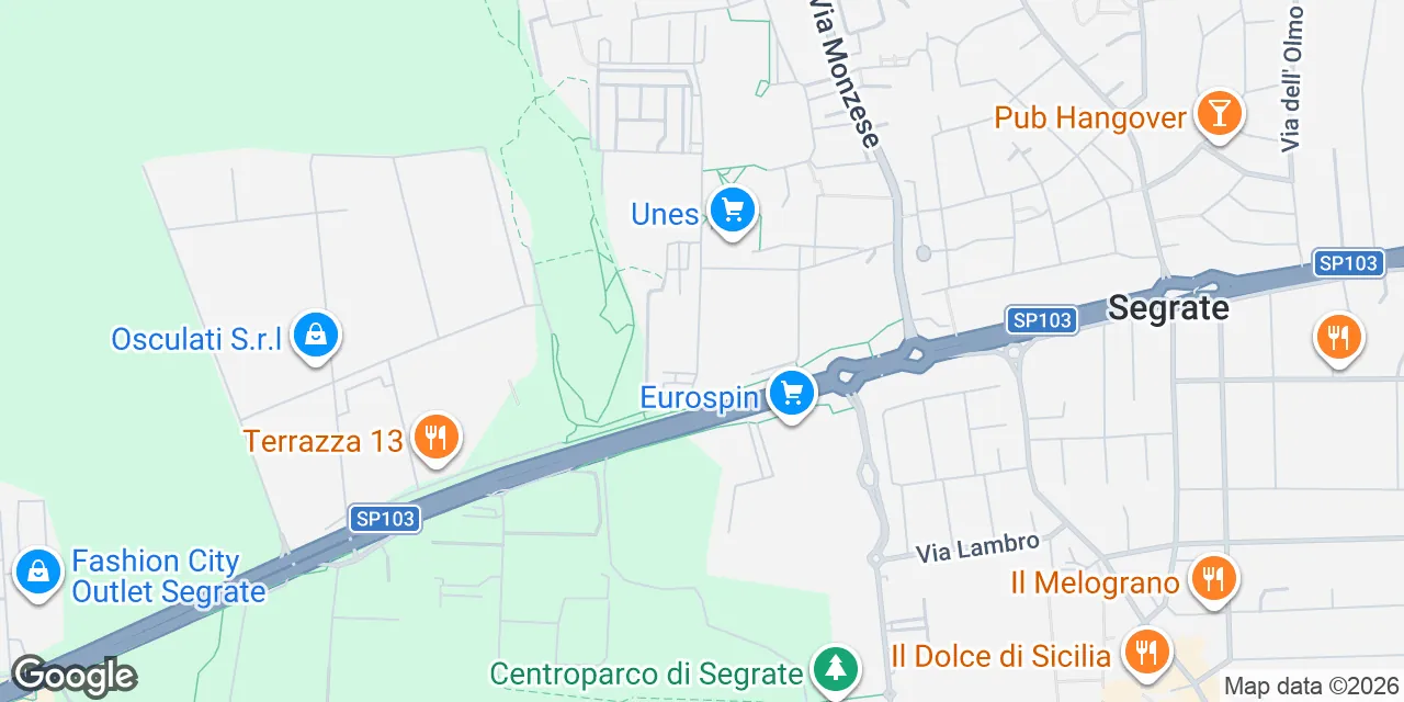 Via Schering 21, 20054 Milano