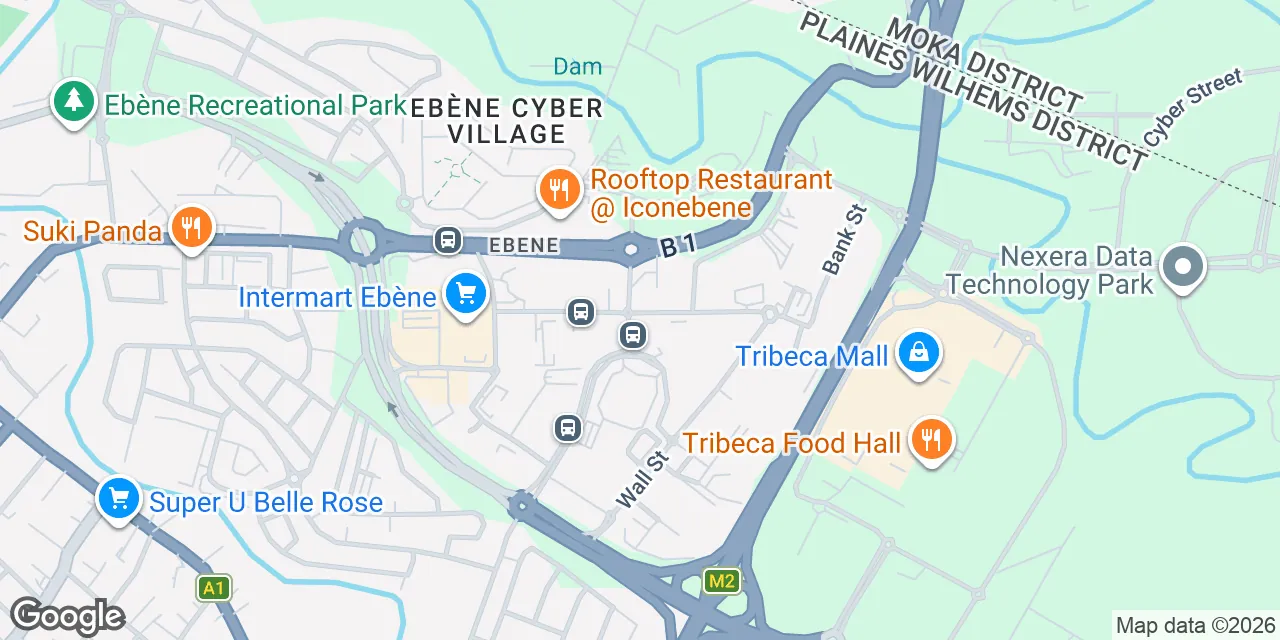Hotel Street, Quatres bornes, Cybercity,7th Floor, Nexsky Building, Ebene 72201