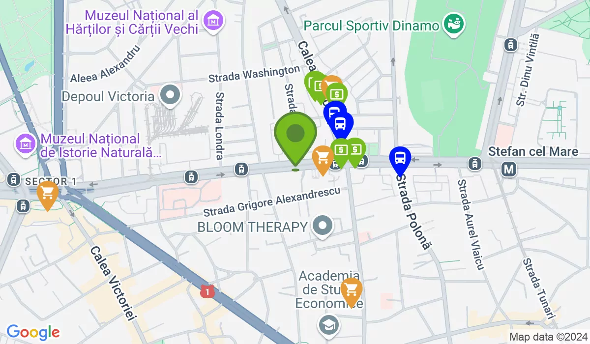 Bulevardul Iancu de Hunedoara 54, 011745 Bucharest