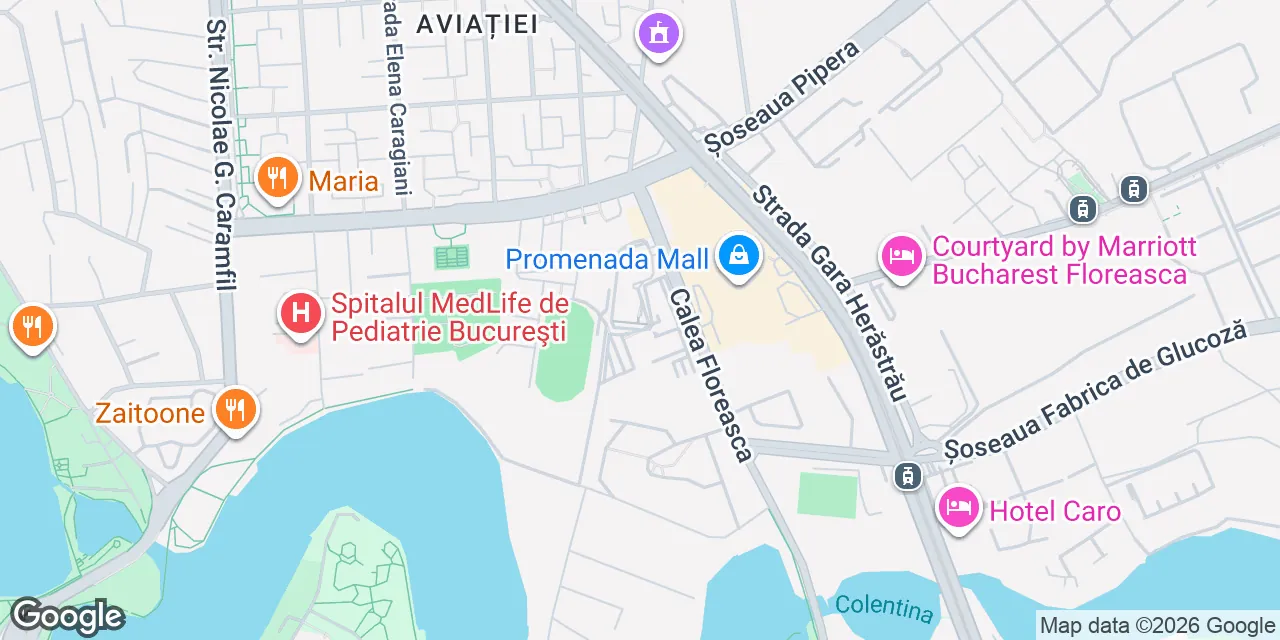 169A Calea Floreasca,Sector 1, 077190 Bucharest