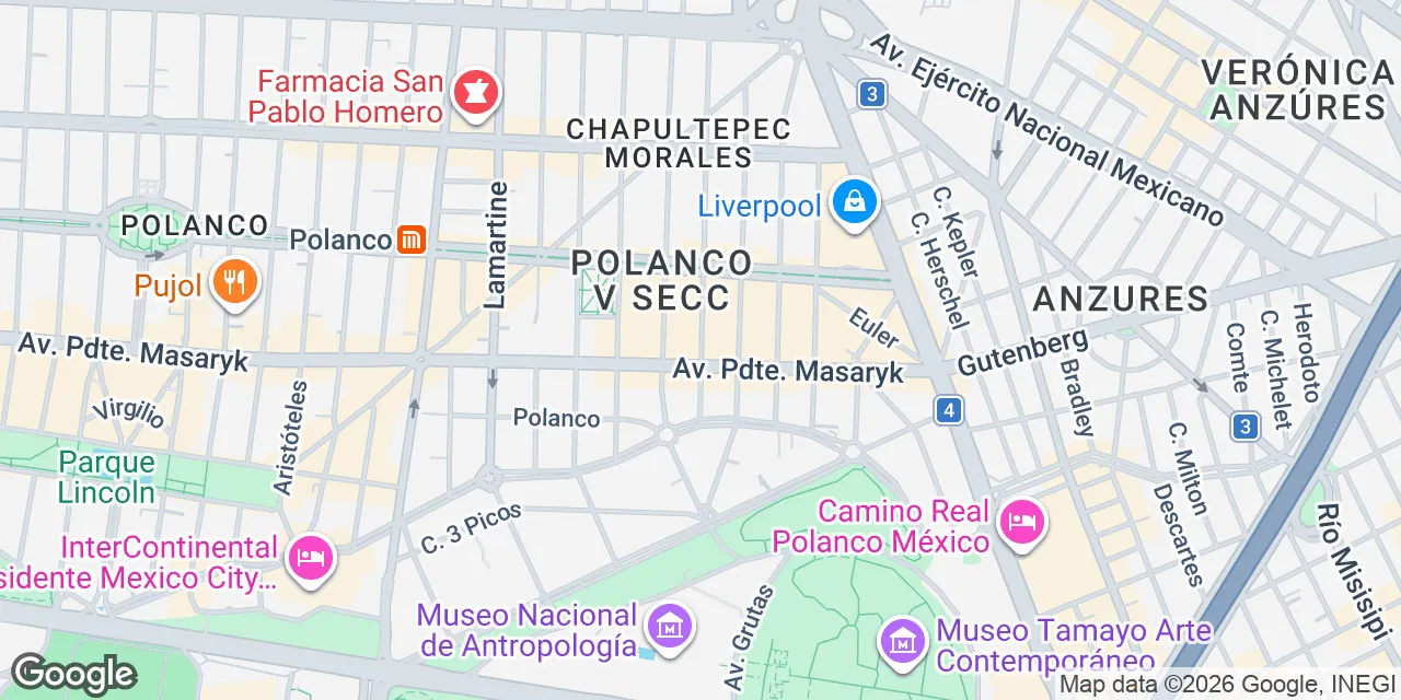 Presidente Masaryk 111,Piso 1,Col.Chapultepec Morales, Mexico City Miguel Hidalgo 11560