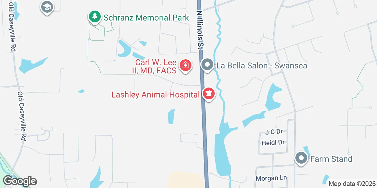 12 Wolf Creek Drive,Suite 100, Belleville 62226