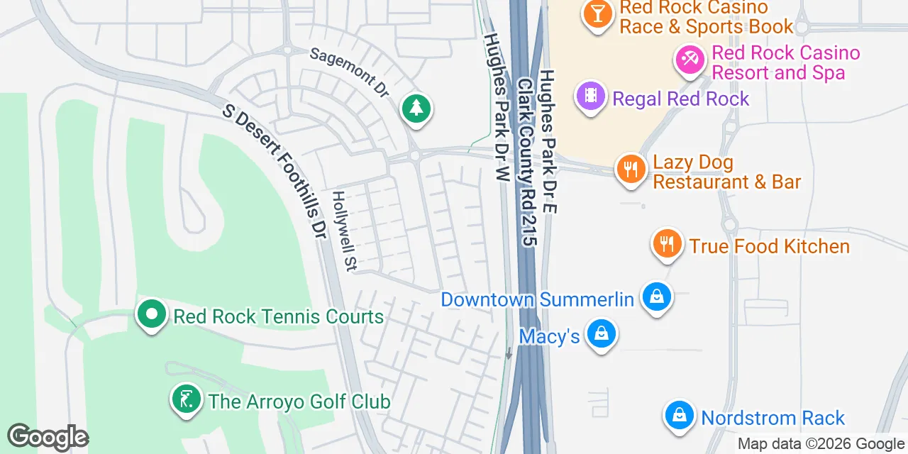 1 Meridian Vista Drive,Suite 255, Las Vegas, NV 89135