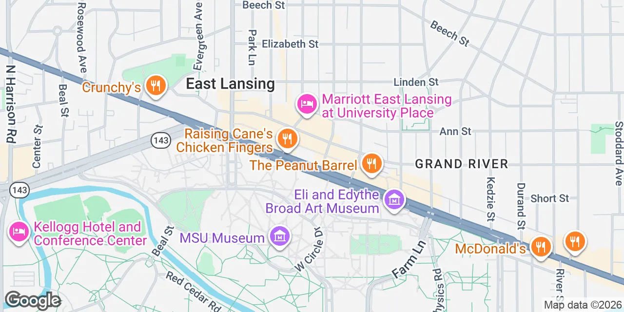 325 E Grand River Avenue,Suite 250, Lansing, MI 48823