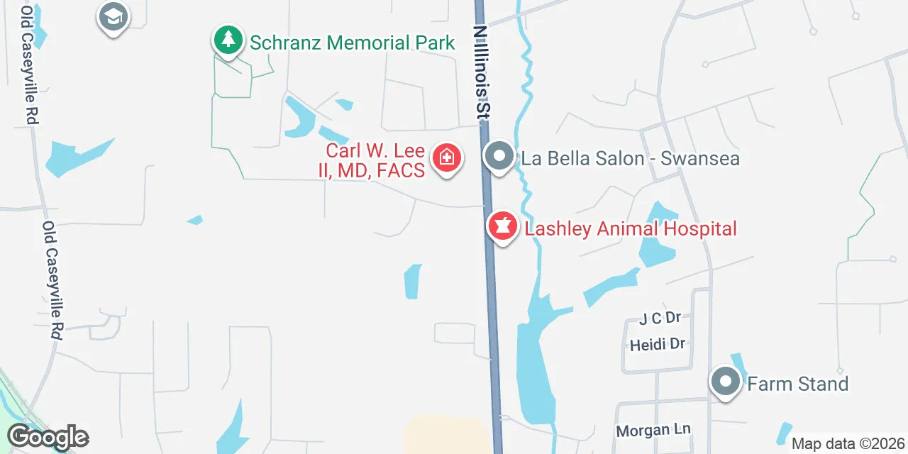 12 Wolf Creek Drive,Suite 100, Belleville 62226