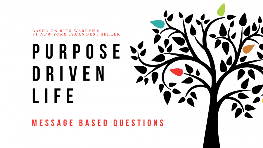 the purpose driven life day 2