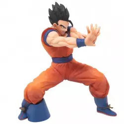 Dragon Ball Super PVC...