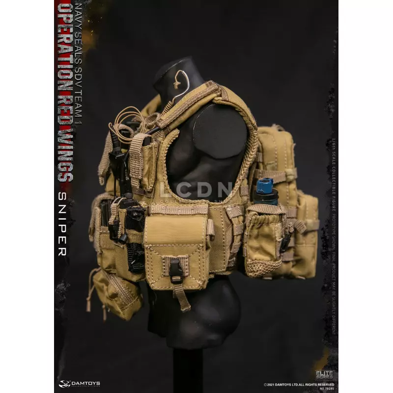 Operation Red Wings NAVY SEALS SDV TEAM 1 Sniper 1/6 Action Figurine DAMTOYS 78085