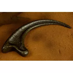 Jurassic Park Replica 1/1 Raptor Claw 19cm