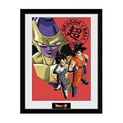 Dragon Ball Super Framed...