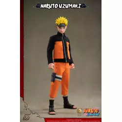 Naruto Shippuden Action...