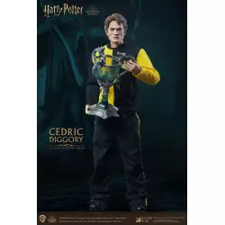 Harry Potter My Favourite Movie Action Figure 1/6 Cedric Diggory Triwizard Version SA0068 30cm