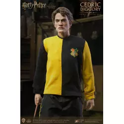 Harry Potter My Favourite Movie Action Figure 1/6 Cedric Diggory Triwizard Version SA0068 30cm