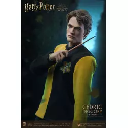 Harry Potter My Favourite Movie Action Figure 1/6 Cedric Diggory Triwizard Version SA0068 30cm