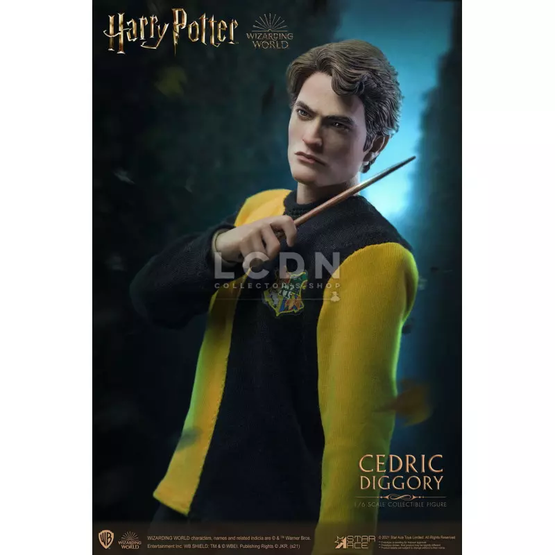 Harry Potter My Favourite Movie Action Figure 1/6 Cedric Diggory Triwizard Version SA0068 30cm