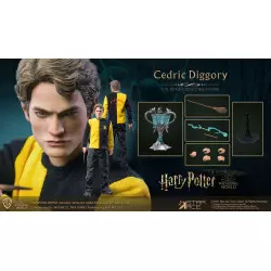 Harry Potter My Favourite Movie Action Figure 1/6 Cedric Diggory Triwizard Version SA0068 30cm