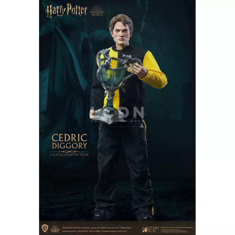 Cedric diggory sale figure