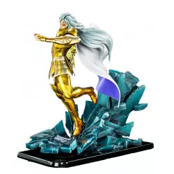 Saint Seiya Chevalier d'Or...