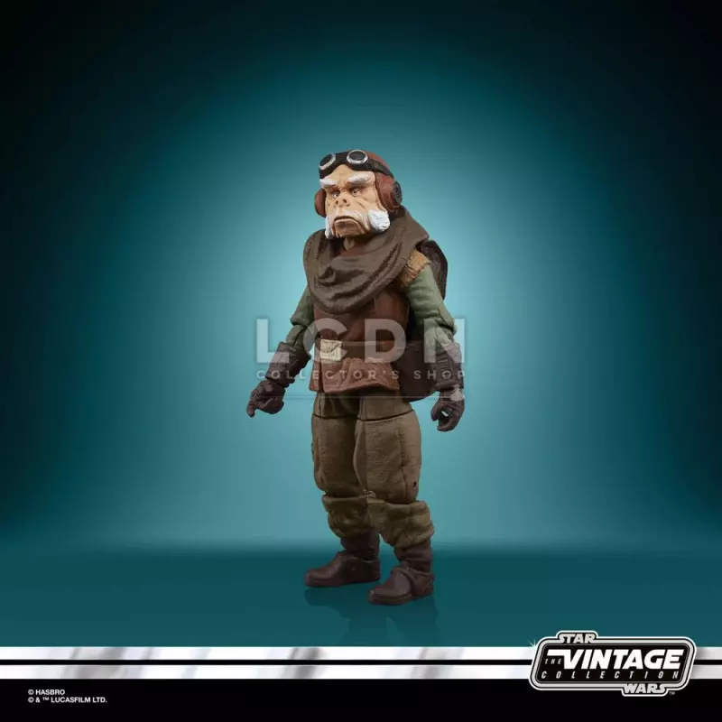 Star Wars The Mandalorian Vintage Collection Action Figurine 2022 Kuiil 10cm