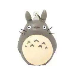 Mon Voisin Totoro Softbi...