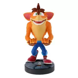 Crash Bandicoot Cable Guy...