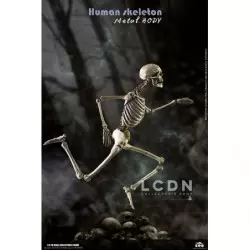 Coomodel BS011 Diecast 1/6 Human Skeleton Metal Body