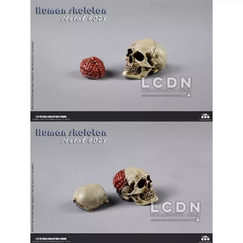 Coomodel BS011 Diecast 1/6 Human Skeleton Metal Body