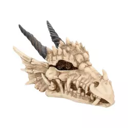 Dragon Skull Box Boite 20cm Nemesis Now
