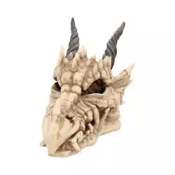 Dragon Skull Box Boite 20cm Nemesis Now