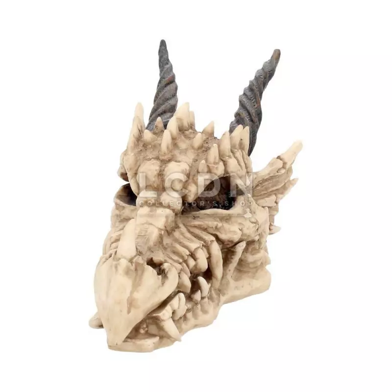 Dragon Skull Box Boite 20cm Nemesis Now