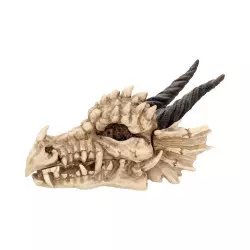 Dragon Skull Box Boite 20cm Nemesis Now