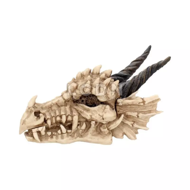 Dragon Skull Box Boite 20cm Nemesis Now