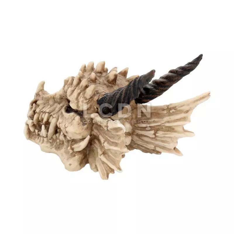 Dragon Skull Box Boite 20cm Nemesis Now