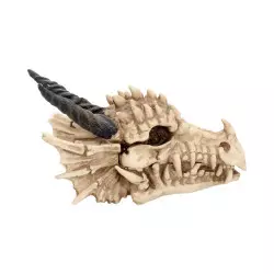 Dragon Skull Box Boite 20cm Nemesis Now