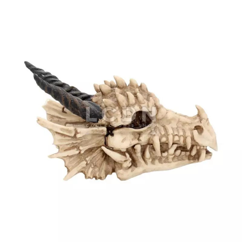 Dragon Skull Box Boite 20cm Nemesis Now